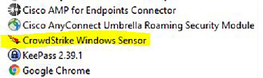 CrowsStrike Installed