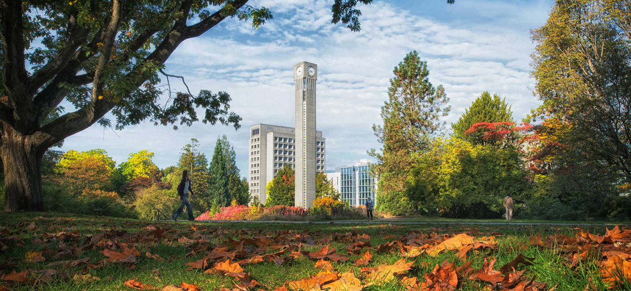 Fall leaves and the Clocktower