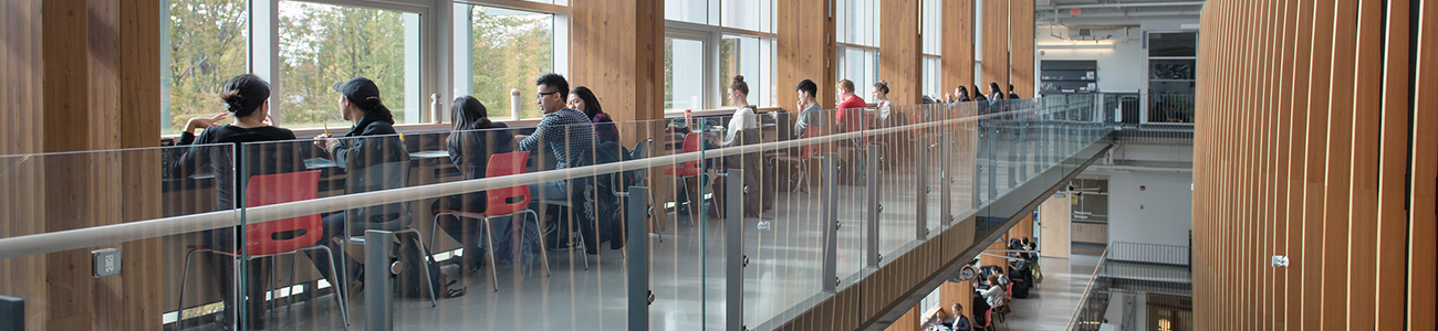 Students studying in the AMS Student Nest